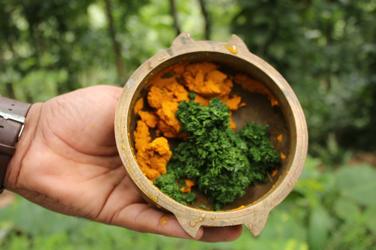 Neem and Turmeric for Natural Health and Beauty