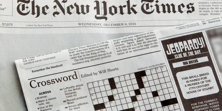 Computer program command crossword clue NYT